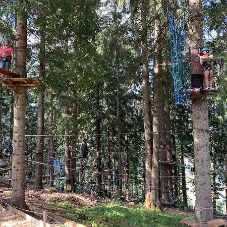 Fewo Alpenwiese Mit Hallenbad&Sauna Missen-Wilhams Dış mekan fotoğraf
