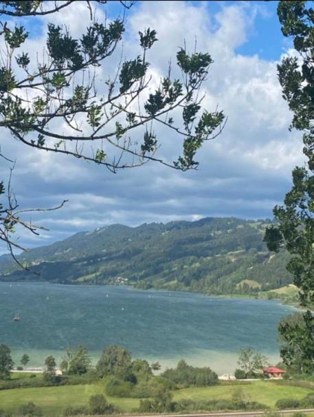 Fewo Alpenwiese Mit Hallenbad&Sauna Missen-Wilhams Dış mekan fotoğraf