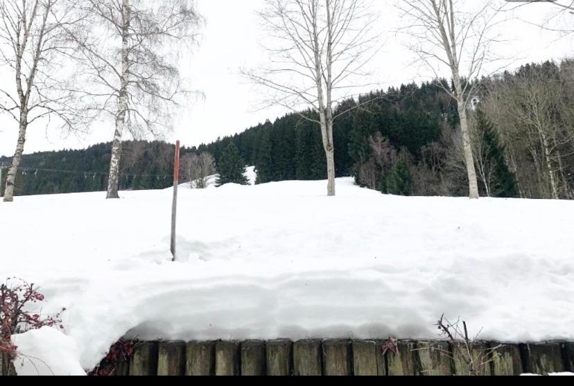 Fewo Alpenwiese Mit Hallenbad&Sauna Missen-Wilhams Dış mekan fotoğraf
