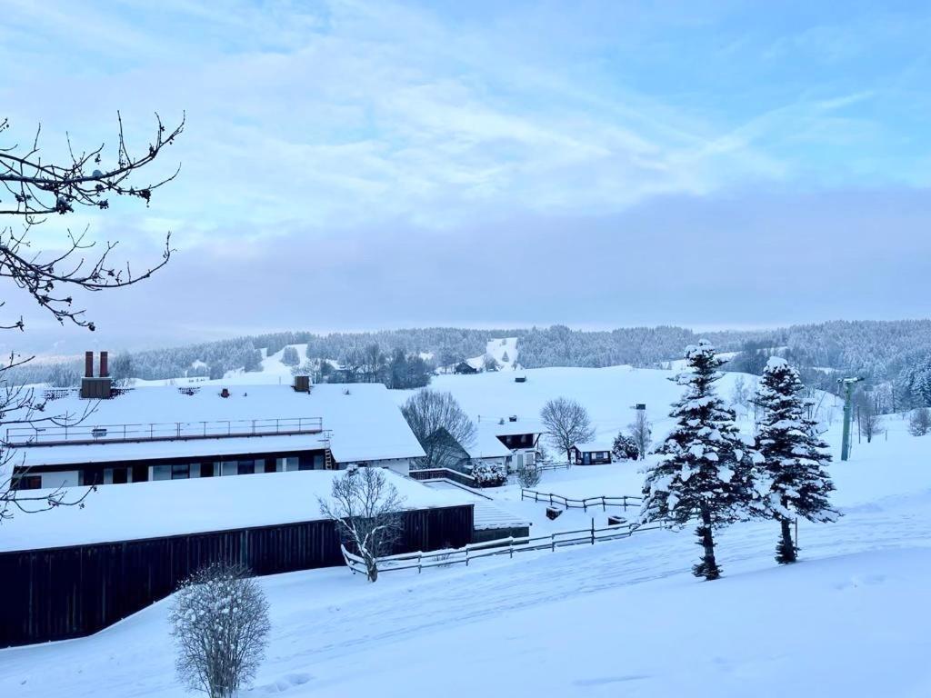 Fewo Alpenwiese Mit Hallenbad&Sauna Missen-Wilhams Dış mekan fotoğraf