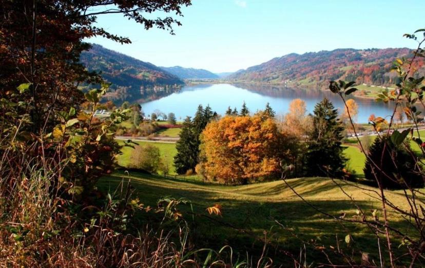 Fewo Alpenwiese Mit Hallenbad&Sauna Missen-Wilhams Dış mekan fotoğraf